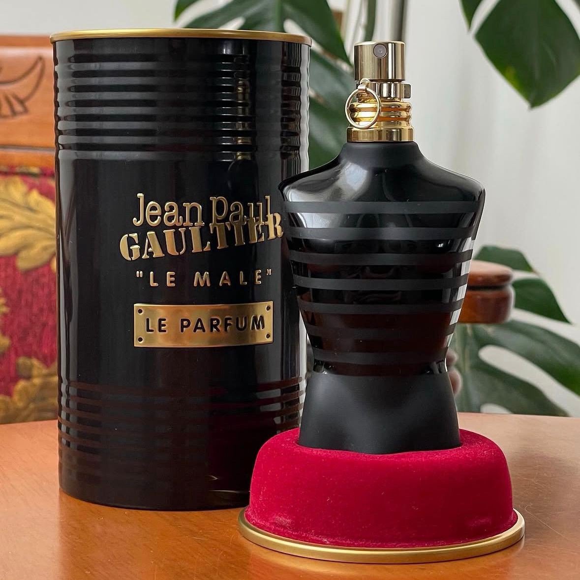 O REI DAS NOITES, esse perfume é bom demais